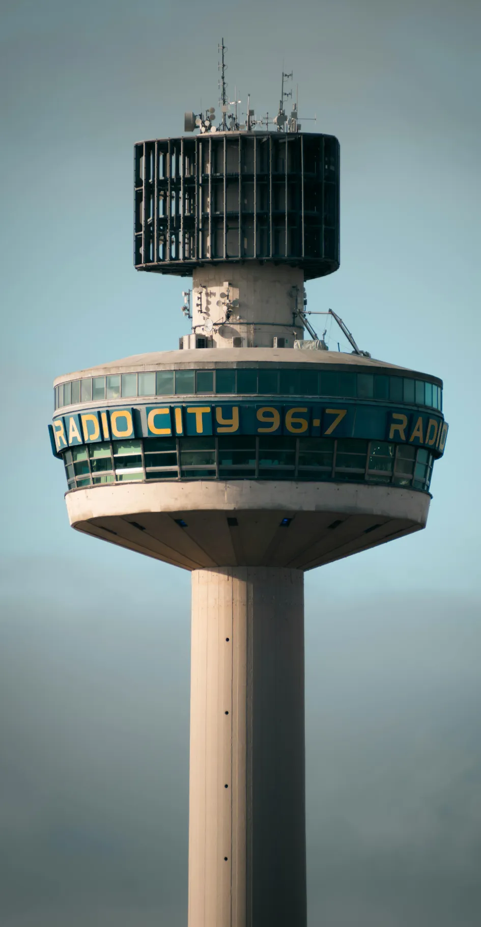 Bing Mobile Search Results