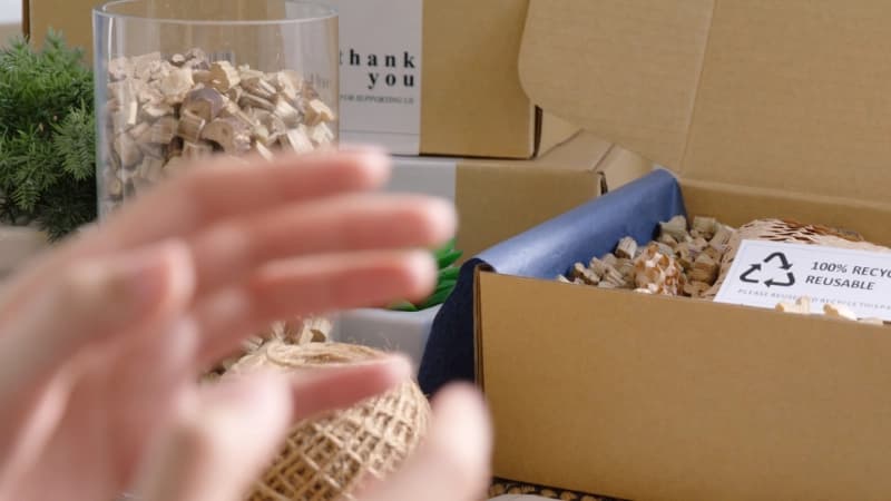 Social Media Influencer Alternative